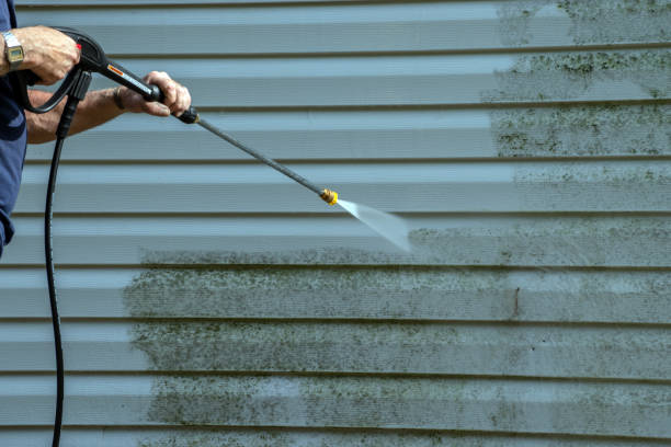 Best Window and Screen Pressure Cleaning in Lakehills, TX